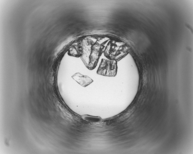 X0000100221406200806271716