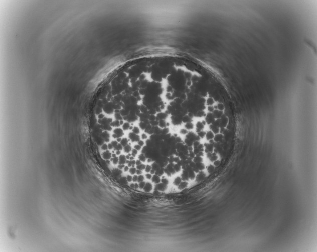 X0000100221407200806271716