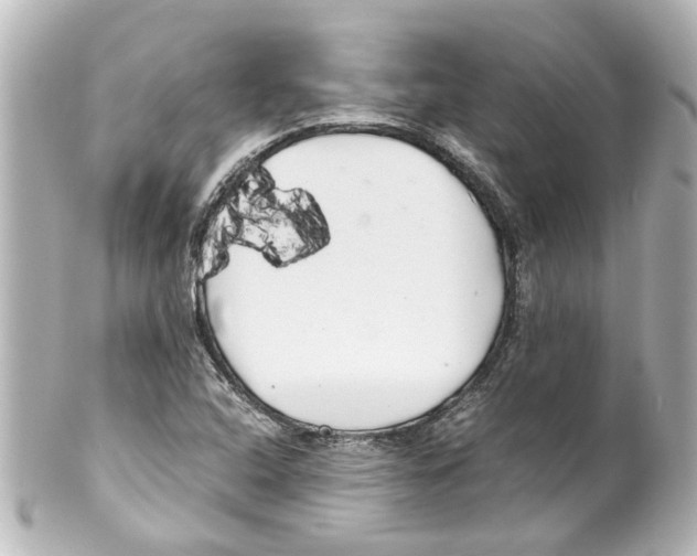 X0000100221408200806271716