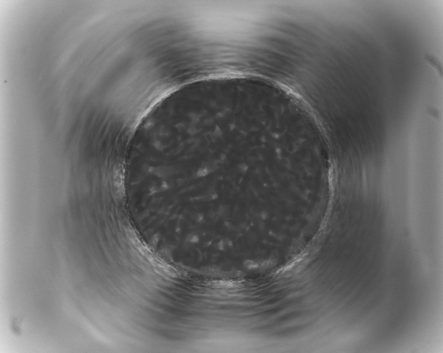 X0000100221409200806271716