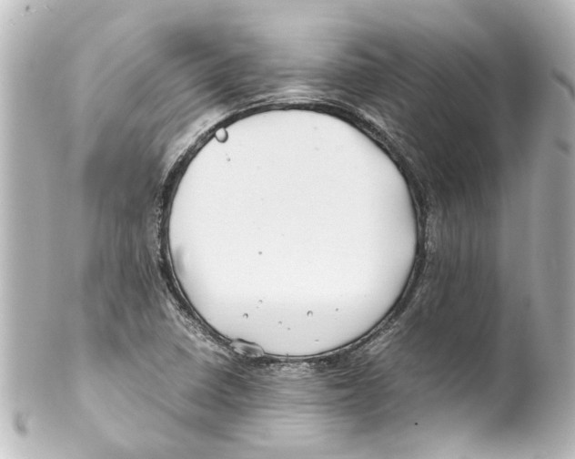 X0000100221410200806271716