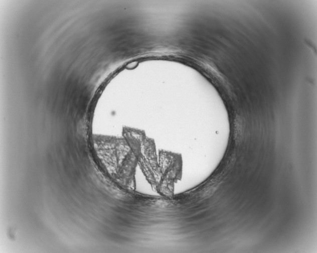 X0000100221412200806271716