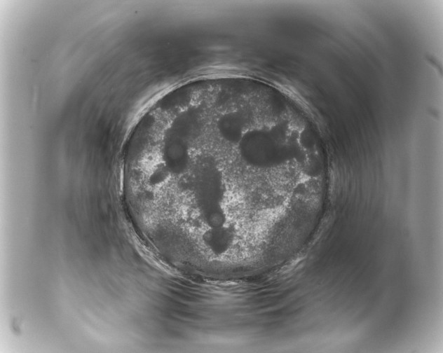 X0000100221413200806271716