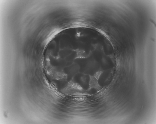 X0000100221415200806271717