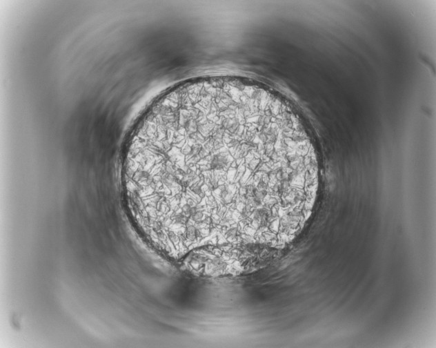 X0000100221416200806271717