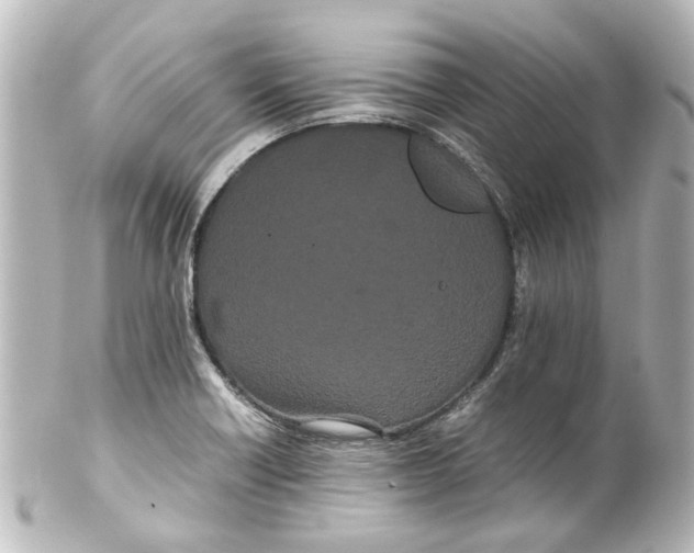 X0000100221418200806271717