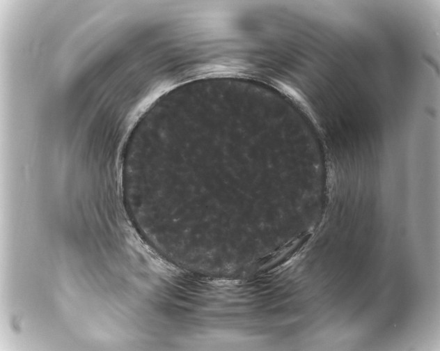 X0000100221419200806271717