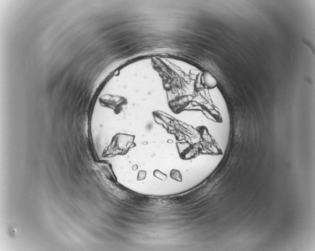 X0000100221420200806271717