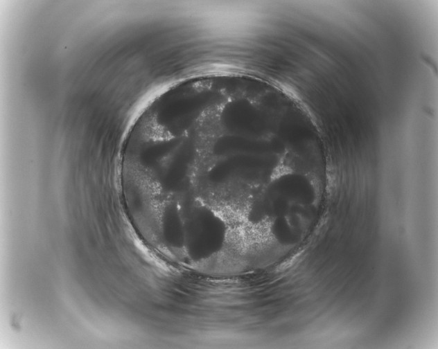 X0000100221421200806271717