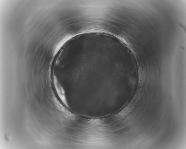 X0000100221422200806271717