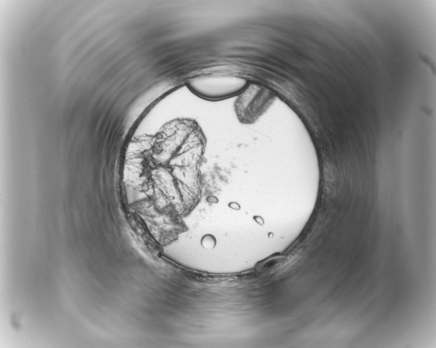 X0000100221426200806271717