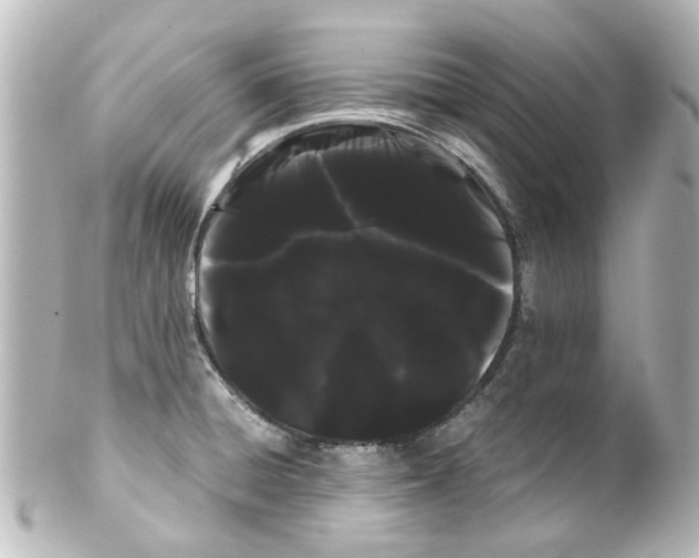 X0000100221428200806271717