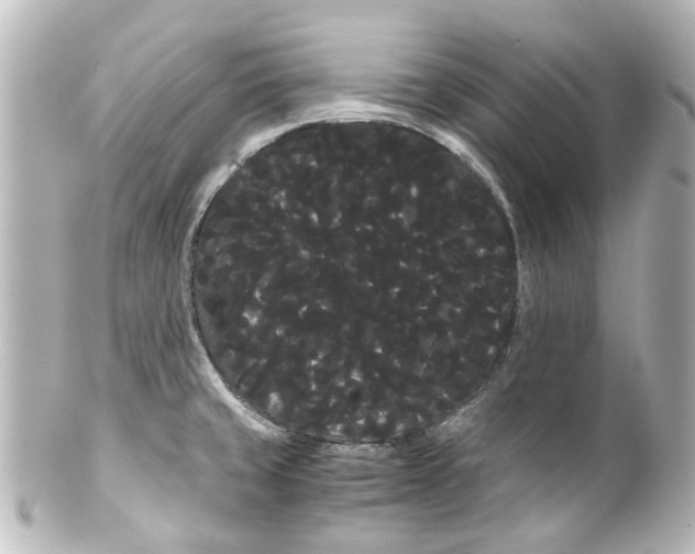 X0000100221429200806271717