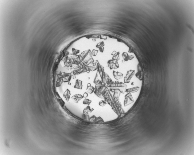 X0000100221430200806271717