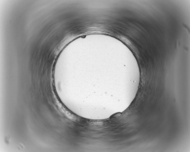 X0000100221431200806271717