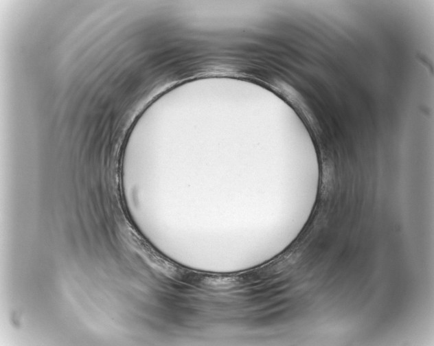 X0000100221435200806271717