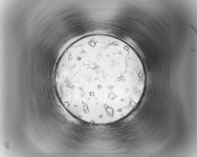 X0000100221436200806271717