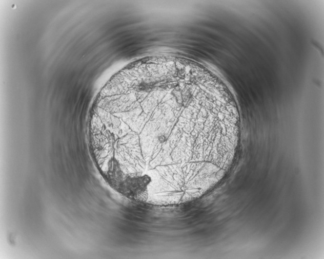 X0000100221437200806271717