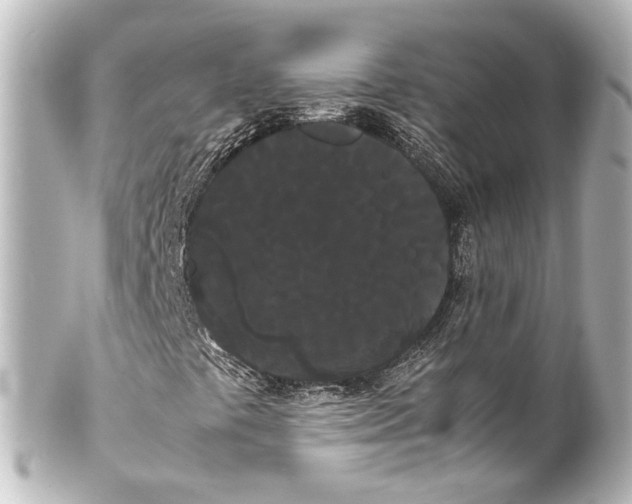 X0000100221441200806271716