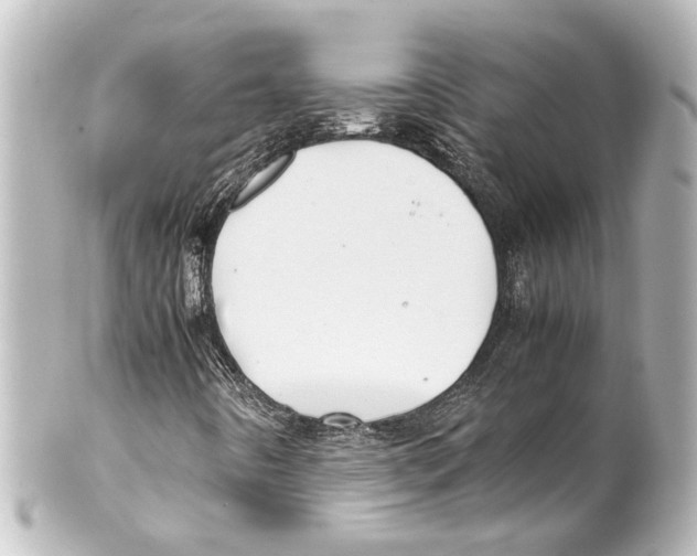 X0000100221442200806271716