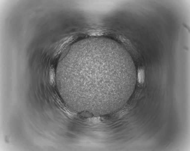 X0000100221444200806271716