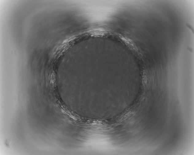 X0000100221445200806271716