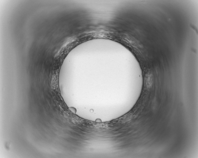 X0000100221446200806271716