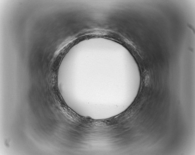 X0000100221448200806271716