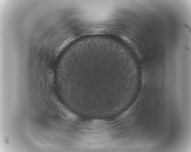 X0000100221449200806271716