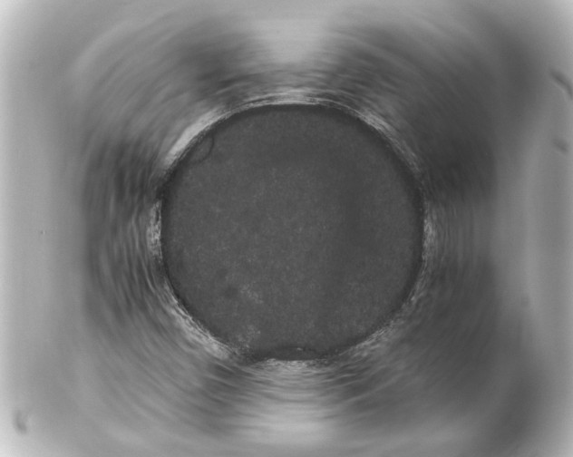 X0000100221450200806271716