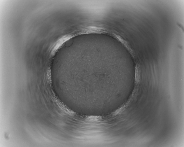 X0000100221453200806271716