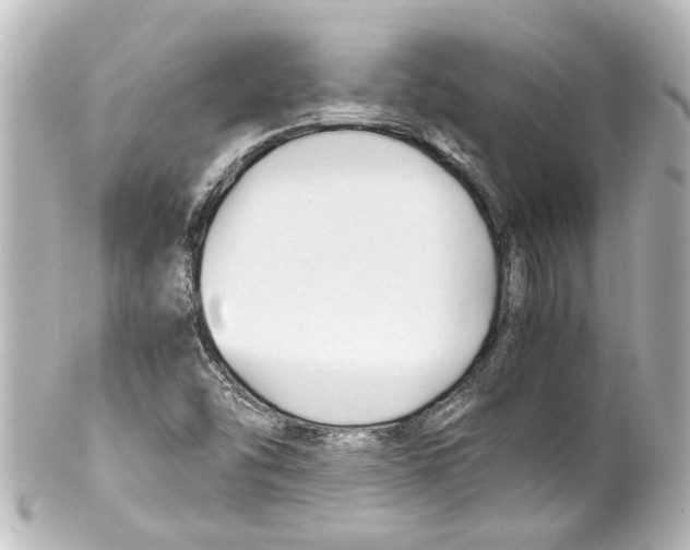 X0000100221454200806271716