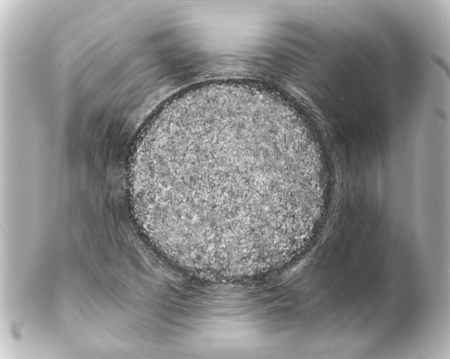 X0000100221457200806271716