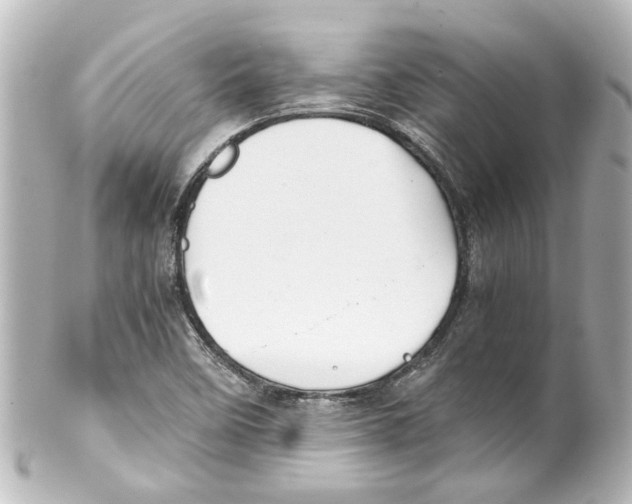 X0000100221458200806271716