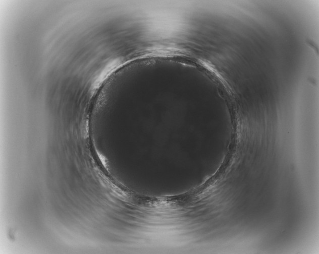 X0000100221459200806271716