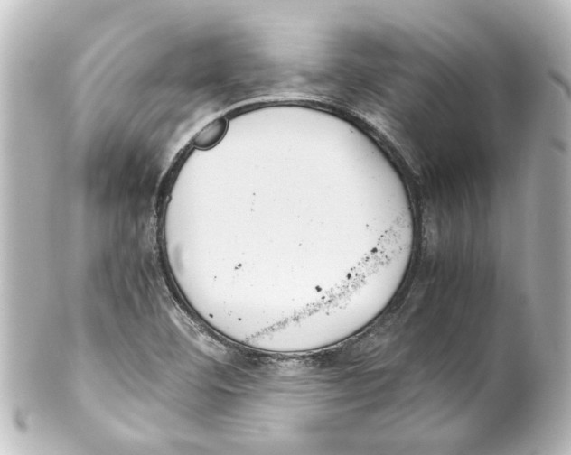 X0000100221460200806271716