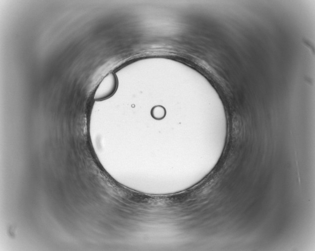 X0000100221461200806271716