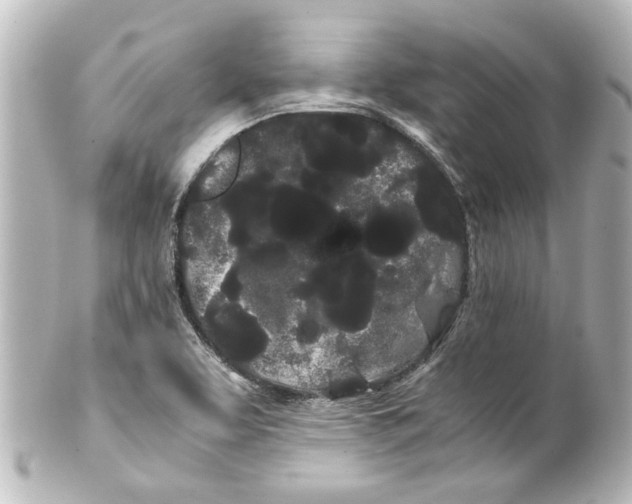 X0000100221463200806271716