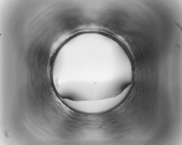 X0000100221464200806271716