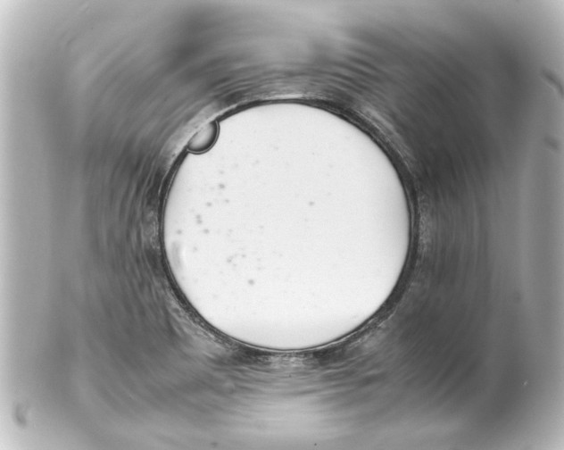 X0000100221465200806271716