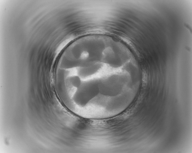 X0000100221466200806271716