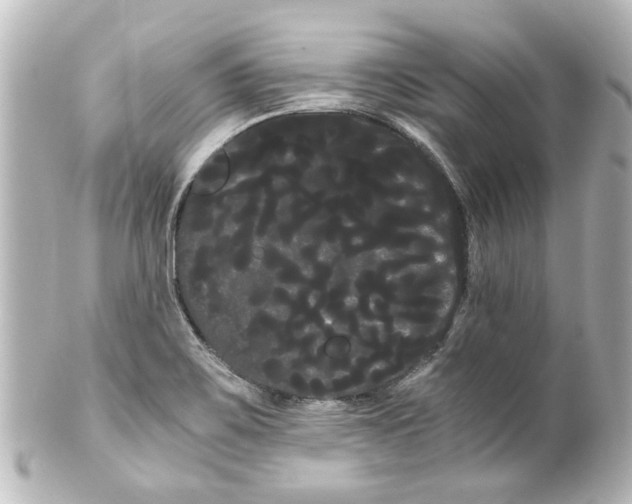 X0000100221467200806271716