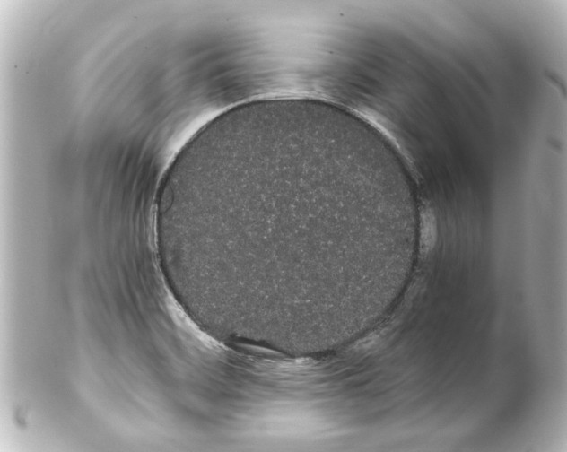 X0000100221468200806271716