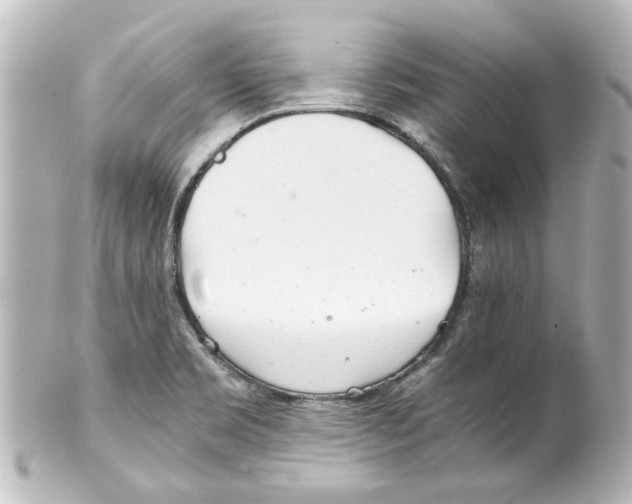 X0000100221469200806271716