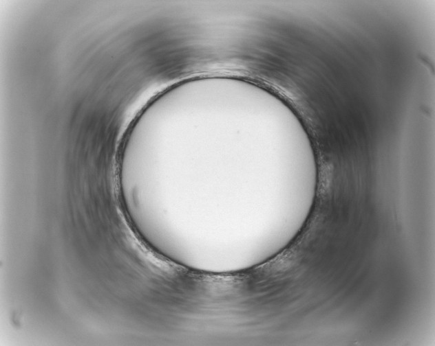 X0000100221470200806271716