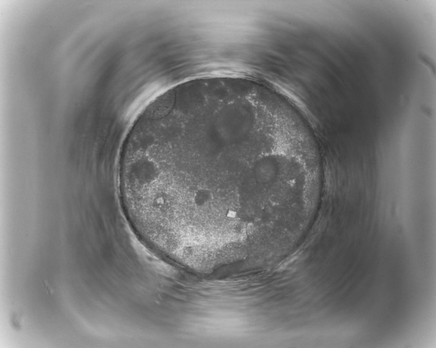 X0000100221471200806271716