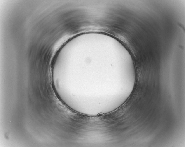 X0000100221472200806271716