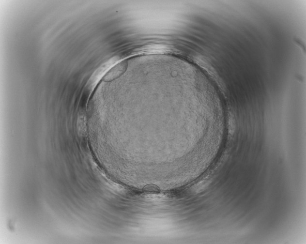 X0000100221473200806271716