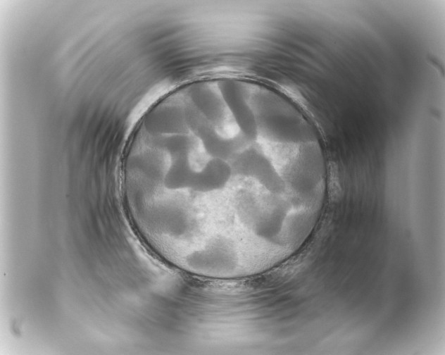 X0000100221474200806271716