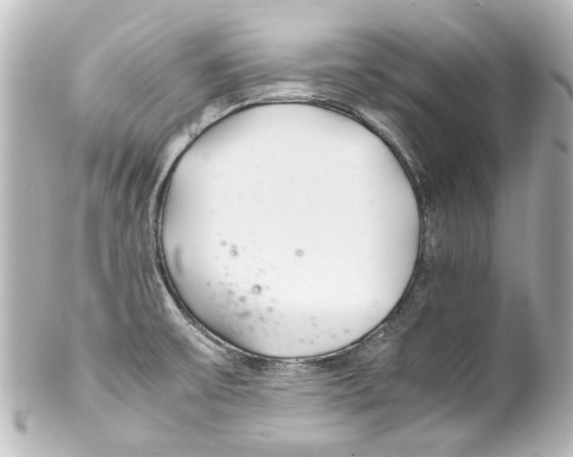 X0000100221475200806271716